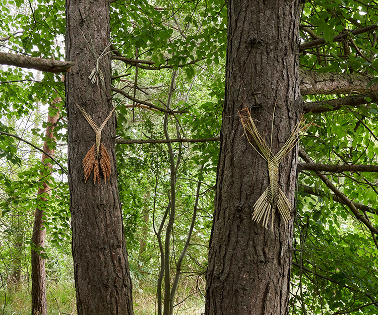 4_Sidsel_Bonde,_Grødegejster,_agerånder,_2022_Installationsbillede_fra_I_mørket_beder_vi_solen_huske_os_Foto__Brian_Kure_GRAYSC.jpg<