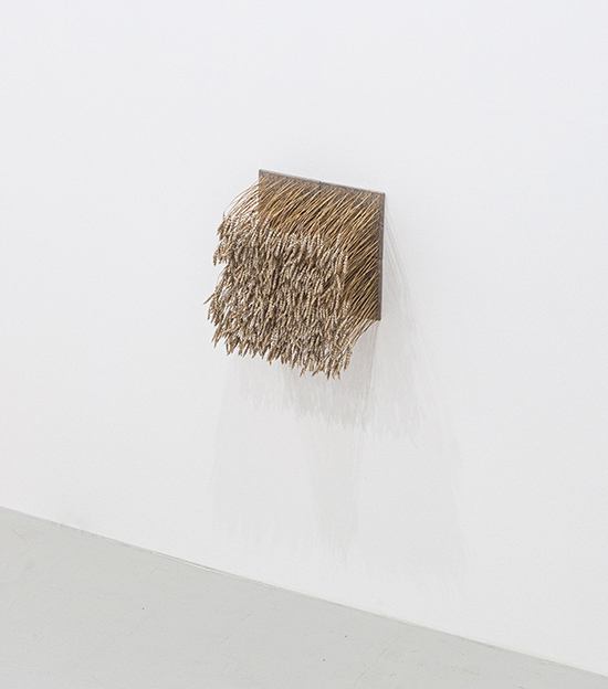 Aks_I_Øyehøyde1.jpg<