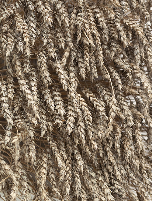 Aks_I_Øyehøyde4_kopi.jpg>