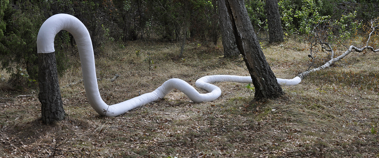 Four_Trees_Fell_Silent5.jpg><