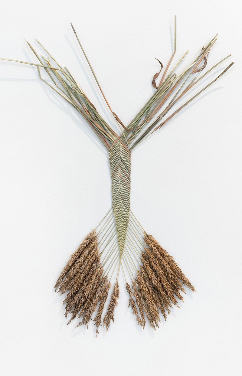 Grødegejster_Agerånder_Øystein_Thorvaldsen.jpgtop>